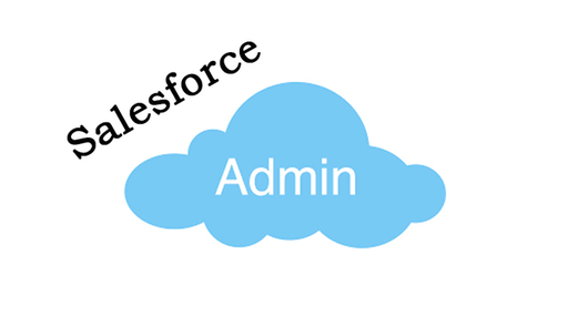 Salesforce Admin.jpg