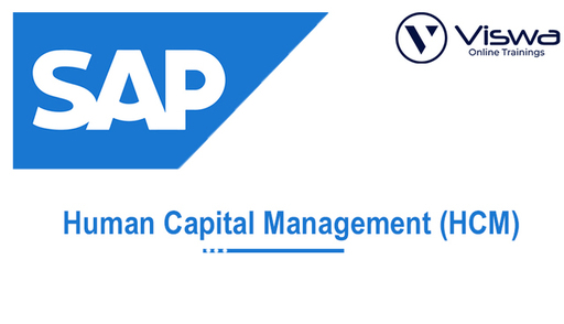 SAP HCM.jpg
