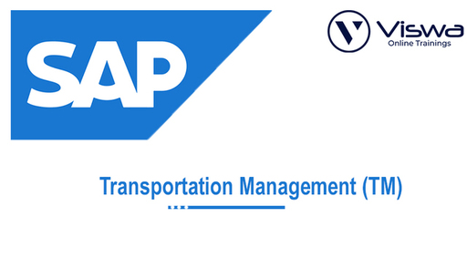 SAP TM.jpg