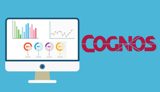 IBM Cognos.jpg